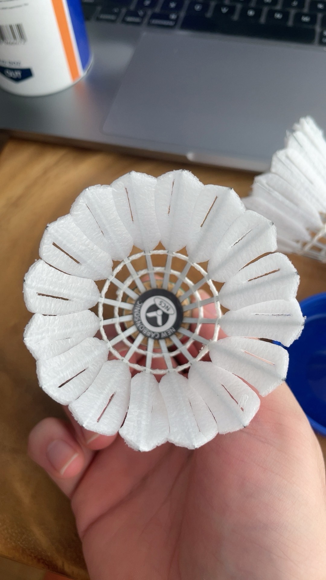 游客和冰雪 游客和冰雪