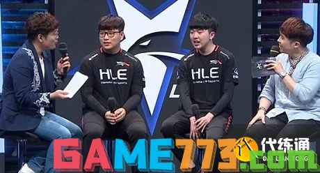 战略提供了 战略提供了