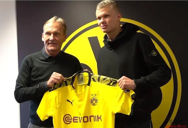 缺少稳定牵 缺少稳定牵